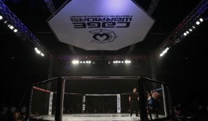 Exciting Fighters in the UFC: A Look at Champions and Rising Stars