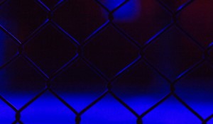 UFC 306: Noche UFC - A Spectacular Night of Champions