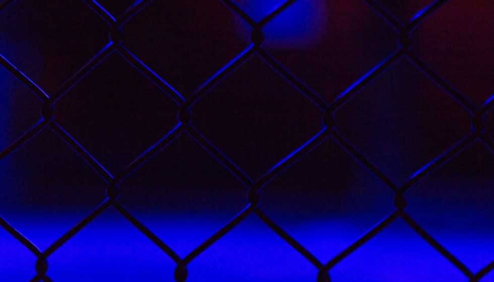 Conor McGregor's Anticipated UFC Return Delayed to 2024